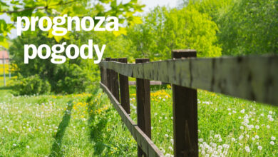 Prognoza Pogody