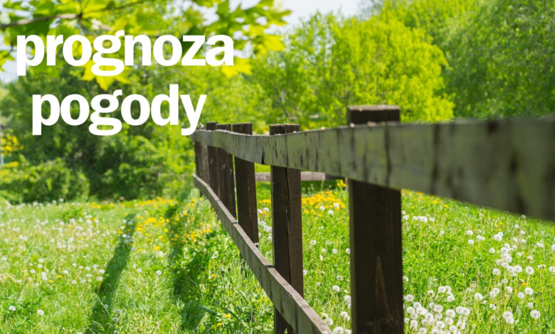 Prognoza Pogody