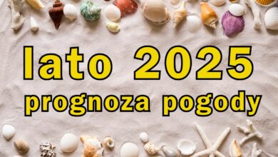 prognoza pogody lato grafika