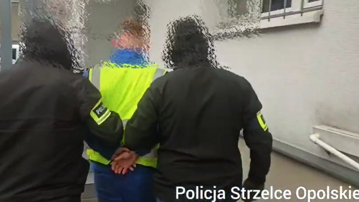 Zaginięcie 11-letniej Patrycji: są zarzuty dla 24-latka z Żor
