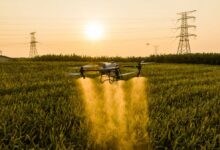 innowacje w rolnictwie