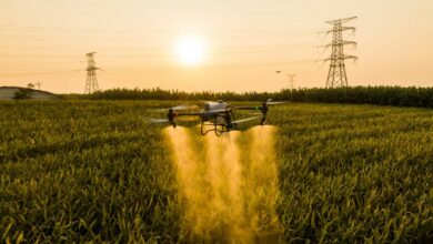 innowacje w rolnictwie
