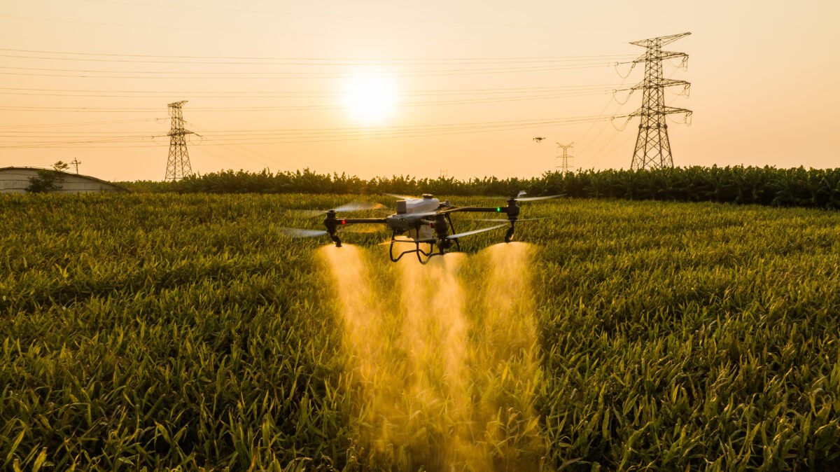 innowacje w rolnictwie