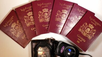 straż graniczna, 17 nielegalnych imigrantów