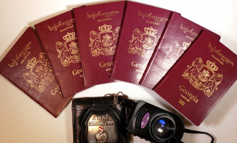 straż graniczna, 17 nielegalnych imigrantów