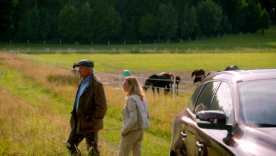 Inga Lindstrome " Jezioro Siljan"