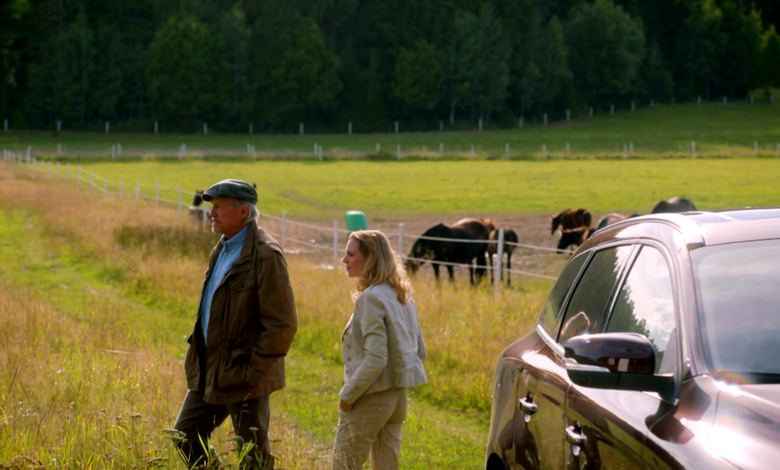 Inga Lindstrome " Jezioro Siljan"