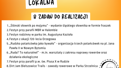 Rudzka Inicjatywa Lokalna 2025