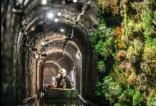 Sztolnia Królowa Luiza Zabrze