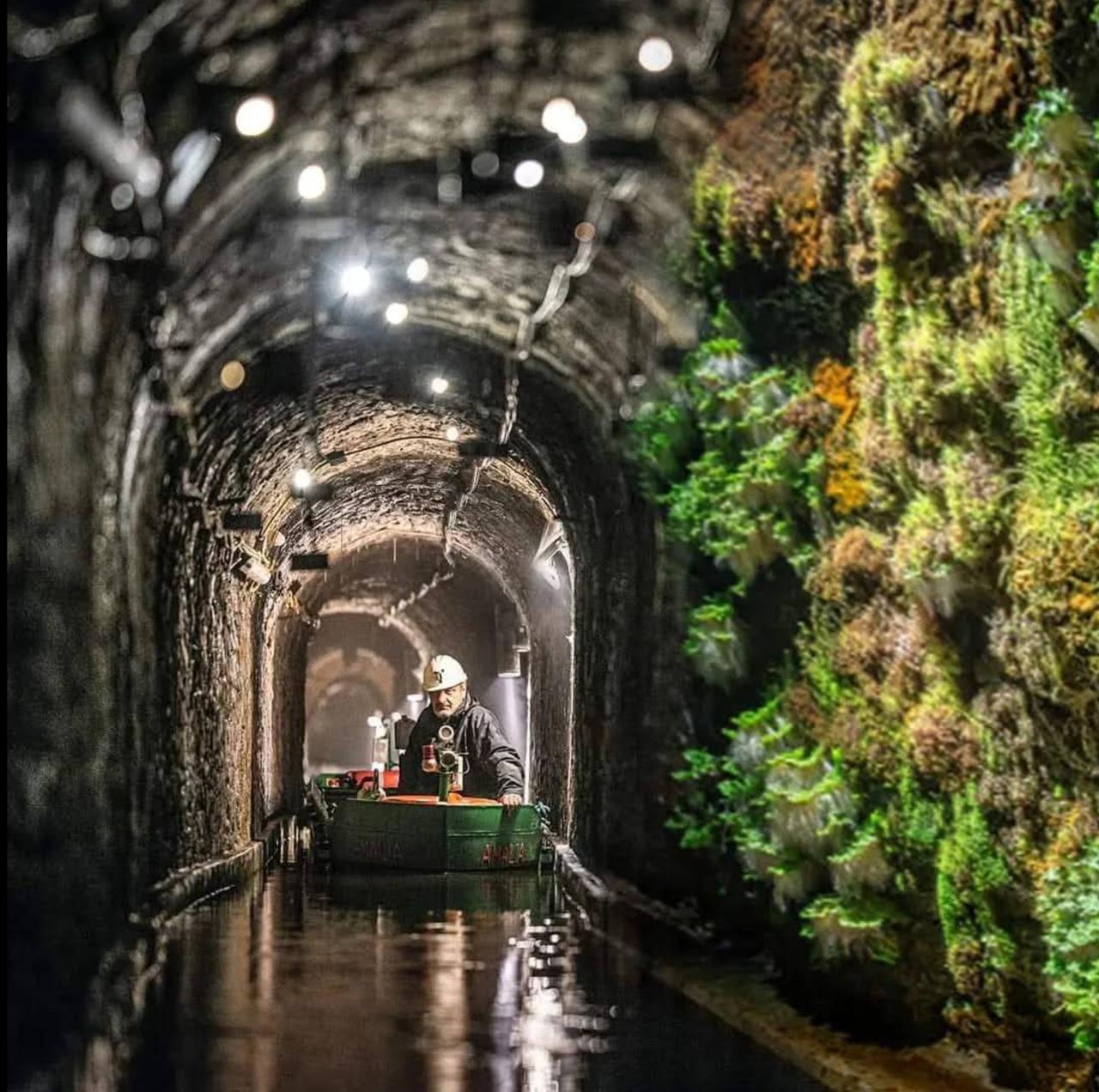 Sztolnia Królowa Luiza Zabrze