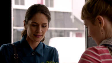 rosamunde pilcher O herbacie i miłości