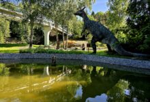 Szklana Kładka nad Kotliną Dinozaurów w Śląskim Ogrodzie Zoologicznym