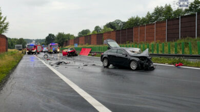 śmiertelny wypadek s52 nielsko-biala