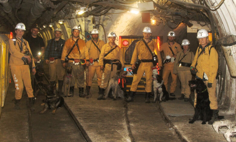 psy ratownicze w kopalni Pniówek z trenerami