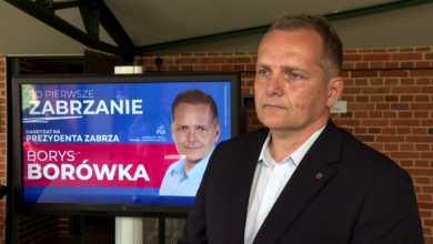 Borys Borówka Zabrze