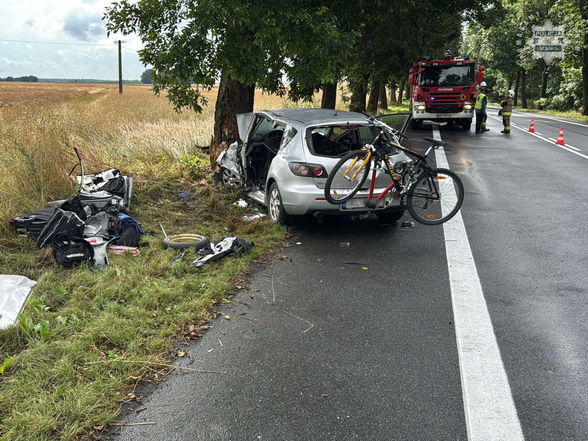 Tragedia na DK43. Kierowca mazdy zginął po uderzeniu w drzewo – to już 6. czarny alert drogowy na Śląsku