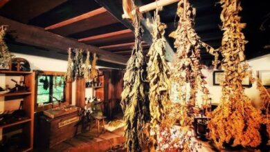 Chorzów Górnośląski Park Etnograficzny