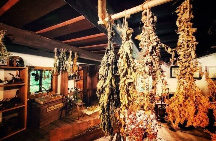 Chorzów Górnośląski Park Etnograficzny