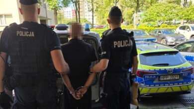 seryjny recydywista drogowy Jastrzębie-Zdrój