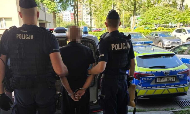 seryjny recydywista drogowy Jastrzębie-Zdrój