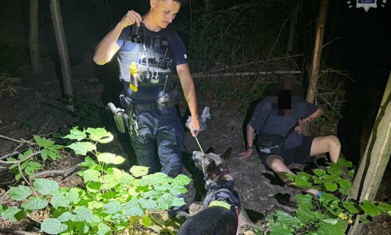 pies policyjny Katowice