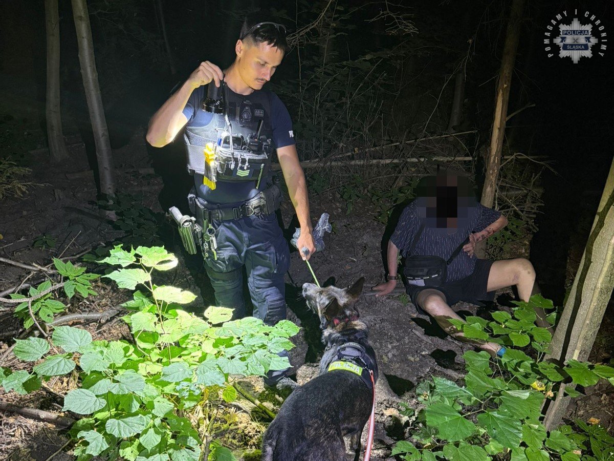 Pies Pirania dopadł pijanego kierowcę. Po kolizji w Katowicach 78-latek próbował ukryć się w lesie