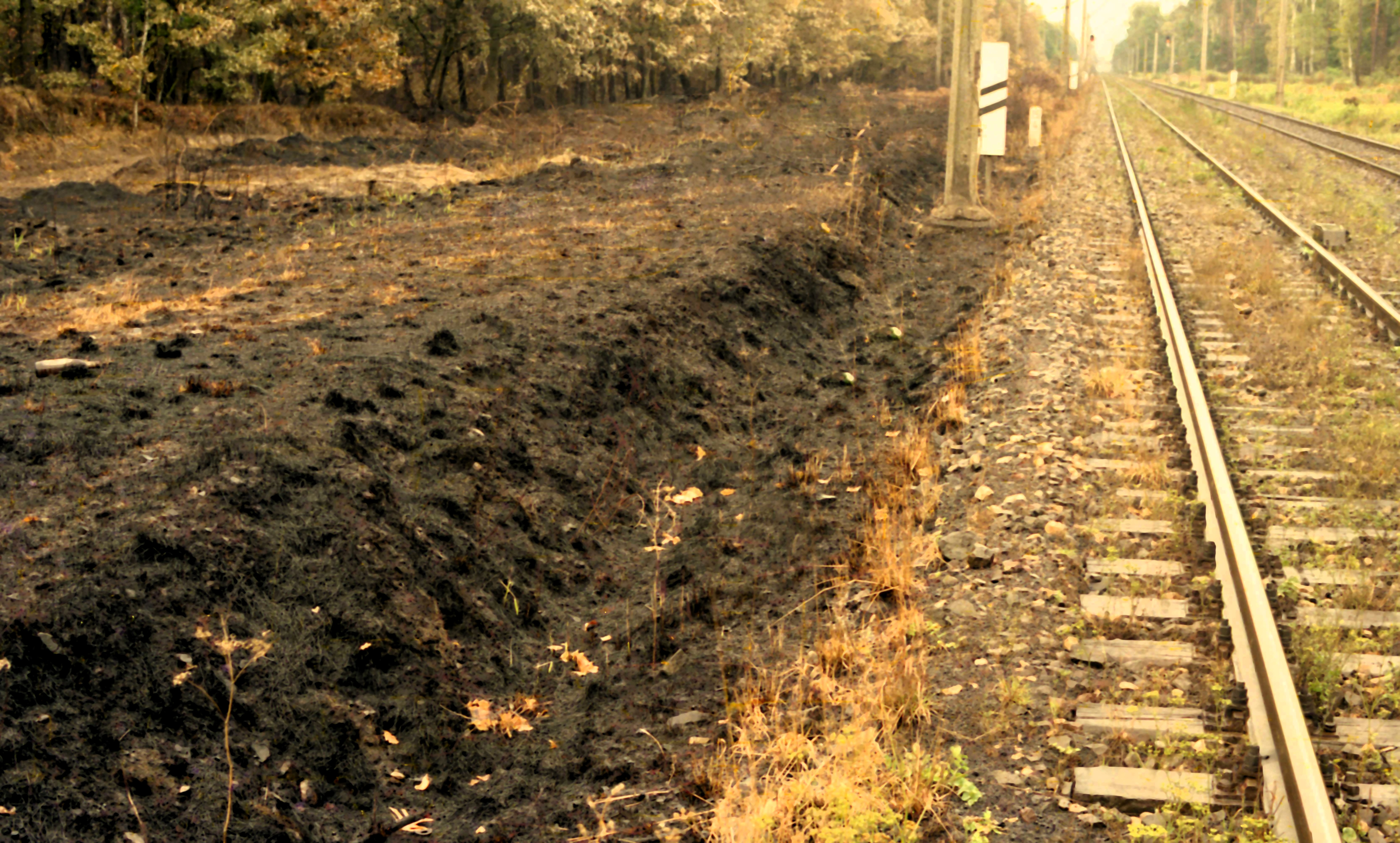 Pożar, który zmienił wszystko – 33 lata od tragedii w Kuźni Raciborskiej
