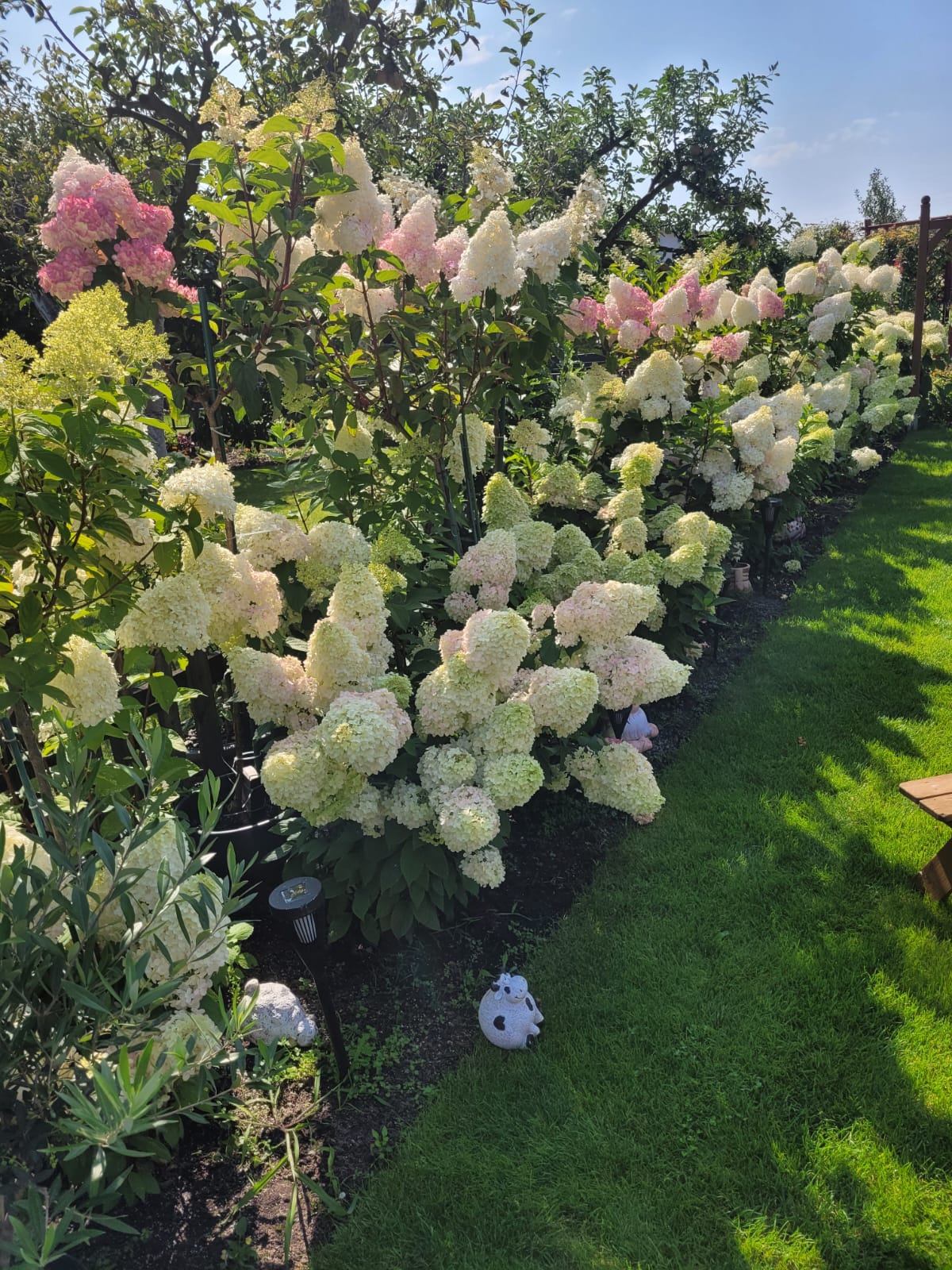 Nie uwierzysz, co kryje ogród Krzysztofa Koniarka! Historia wnuczki wzrusza do łez