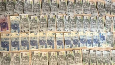 fałszywe banknoty Żywiec rozłozone na stole