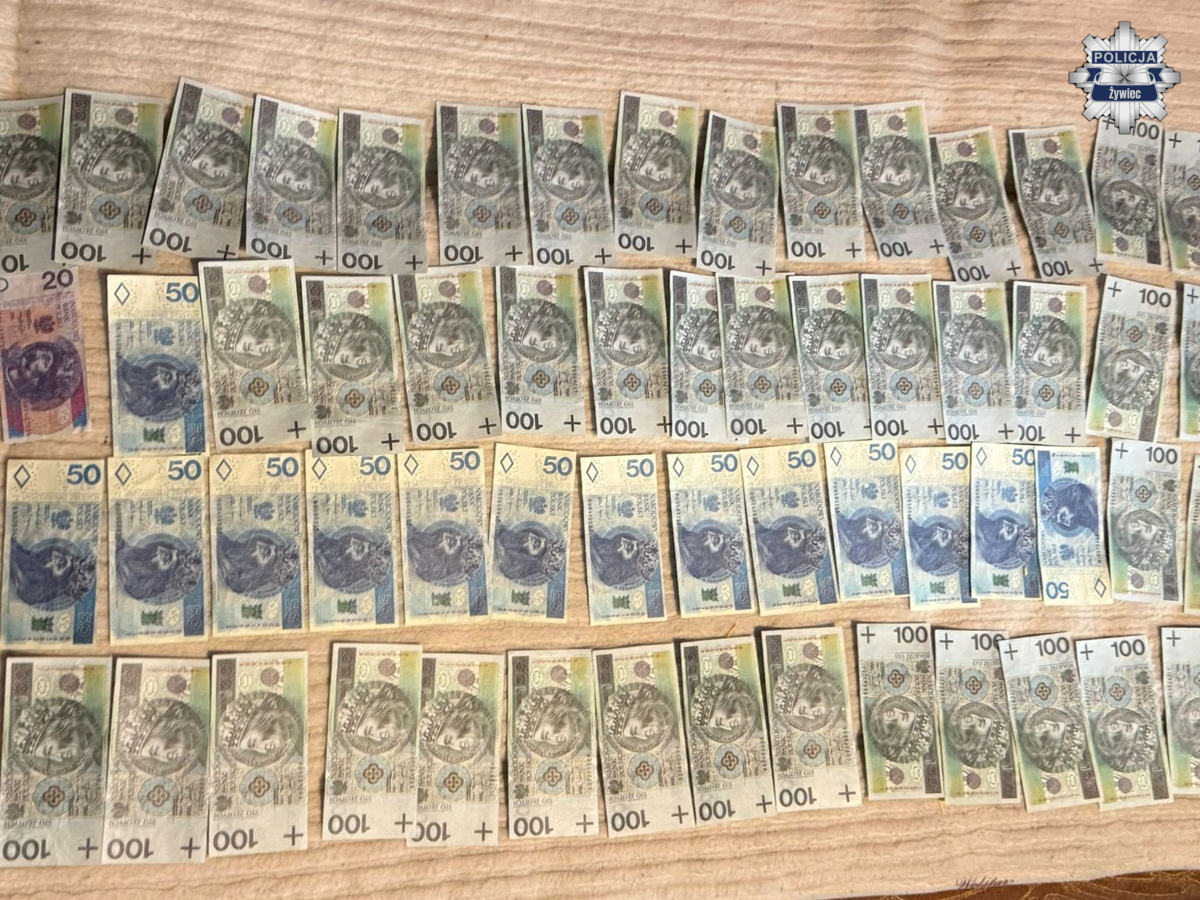 fałszywe banknoty Żywiec rozłozone na stole