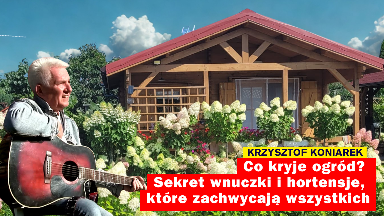 Krzysztof Koniarek