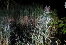 mężczyzna ugrzązł w bagnie Dąbrowa Górnicza