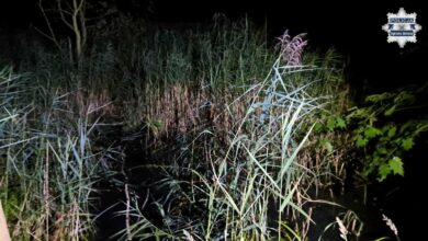 mężczyzna ugrzązł w bagnie Dąbrowa Górnicza