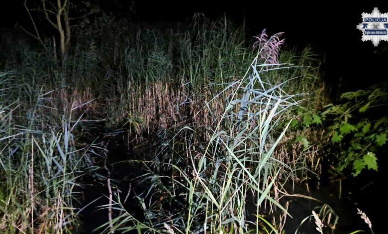 mężczyzna ugrzązł w bagnie Dąbrowa Górnicza