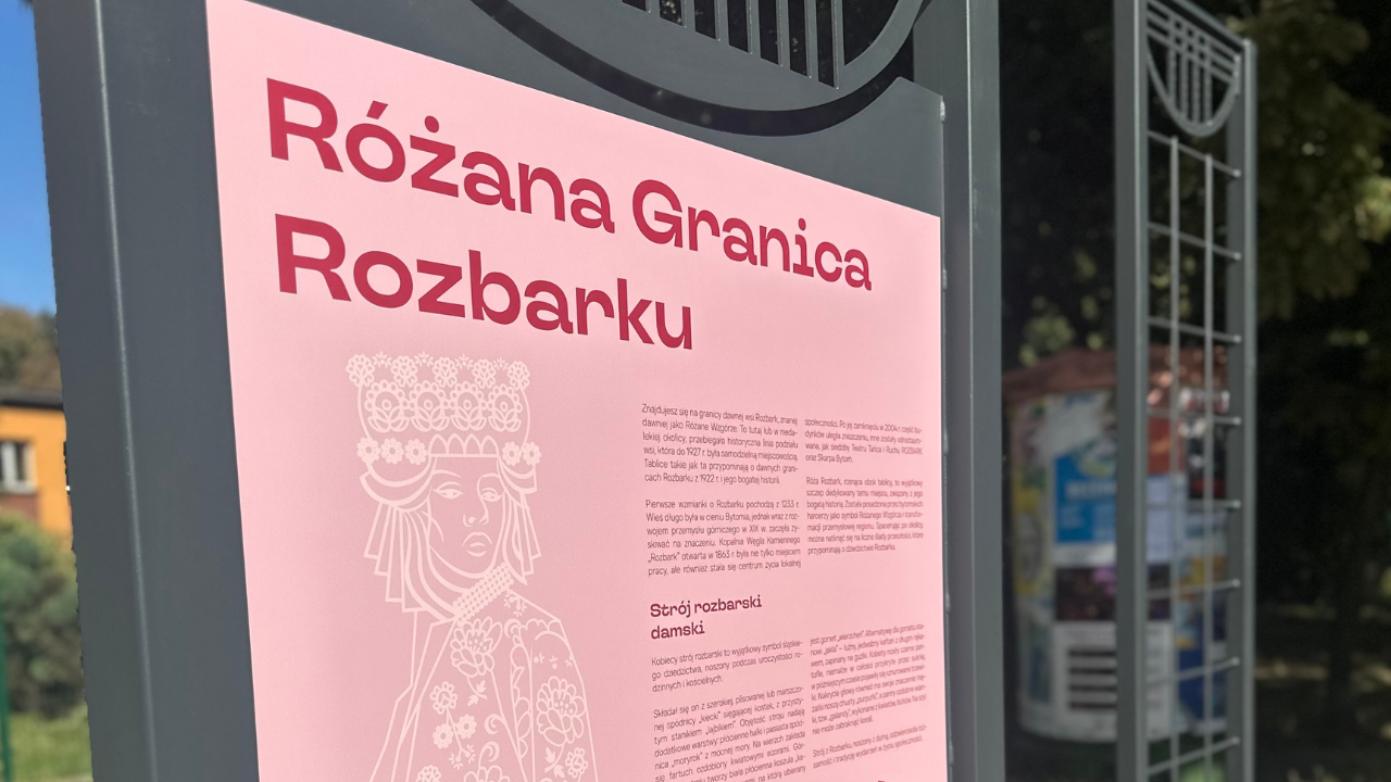 Nowa róża „Rozbark” zadebiutowała w Bytomiu – symbol przemian dzielnicy