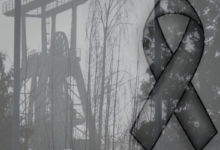 KOpalnia Knurów szczygłowice