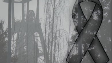 KOpalnia Knurów szczygłowice