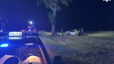 Opel uderzył w drzewo