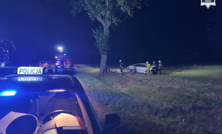Opel uderzył w drzewo