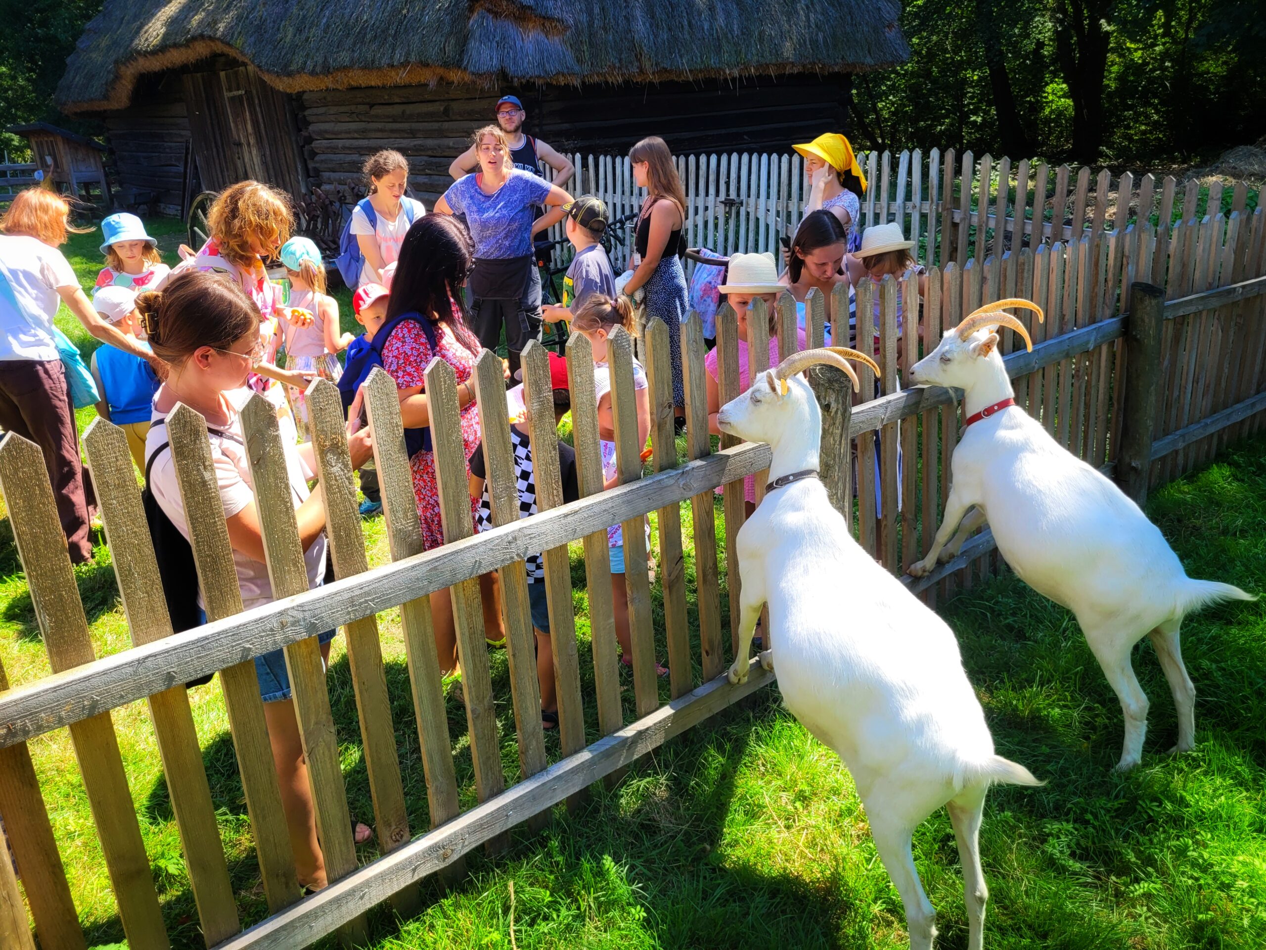 skansen w Chorzowie