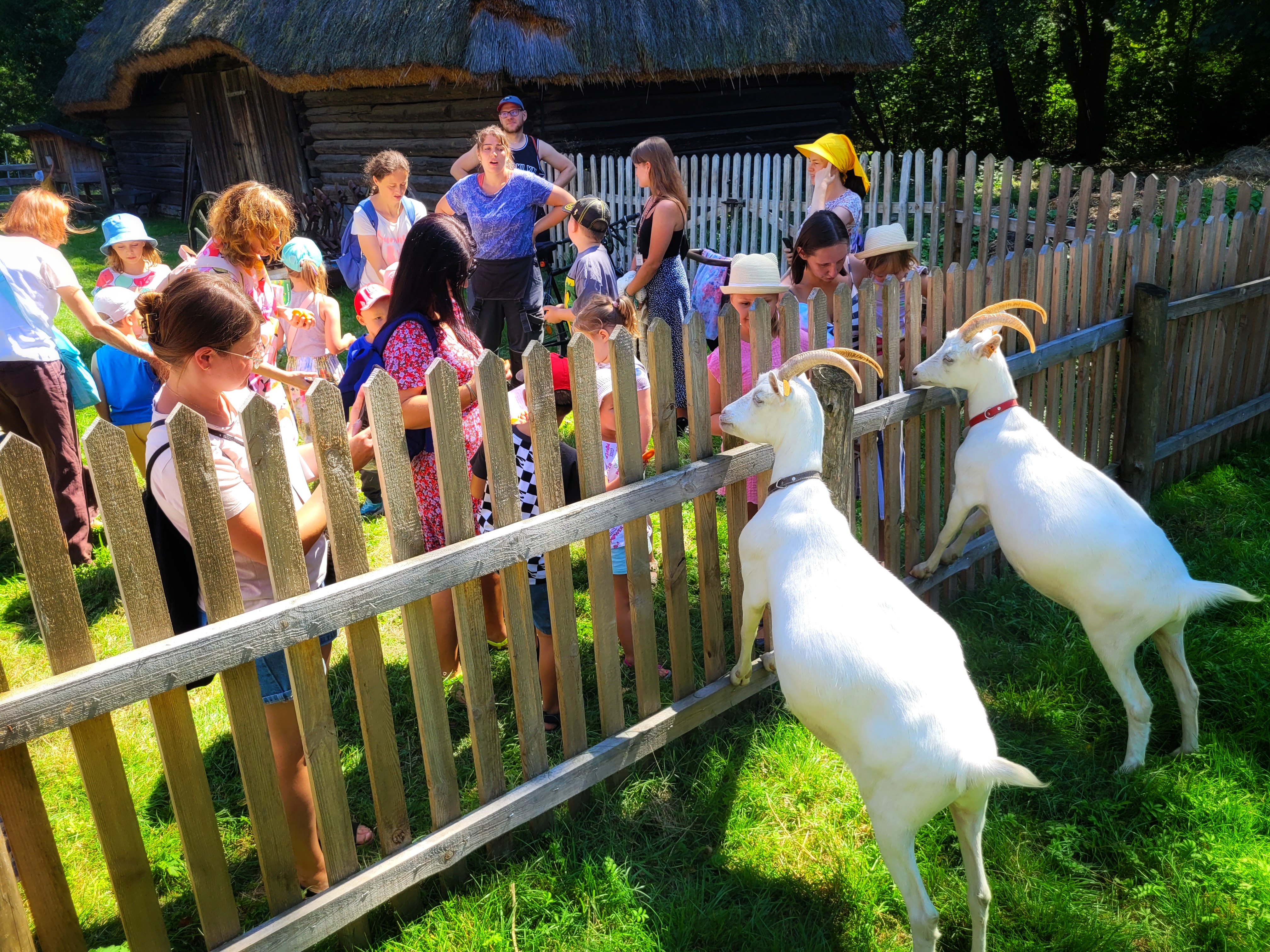 Jesienne spacery w chorzowskim skansenie: od obserwacji ptaków po historię lnu