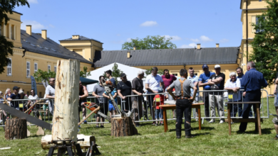 Cietrzewisko 2025 Koszęcin program