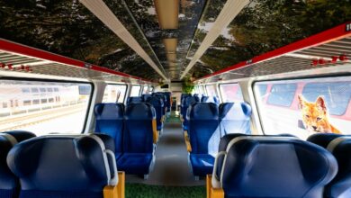 Wnętrze pociągu fotele i korytarz