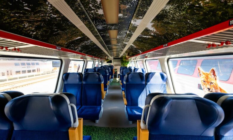 Wnętrze pociągu fotele i korytarz