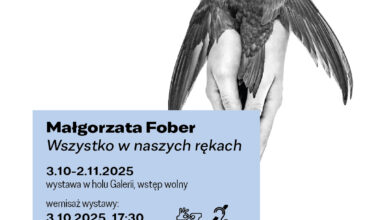 wystawa fotografii Małgorzaty Fober Rybnik - plakat na dłoniach jaskółka