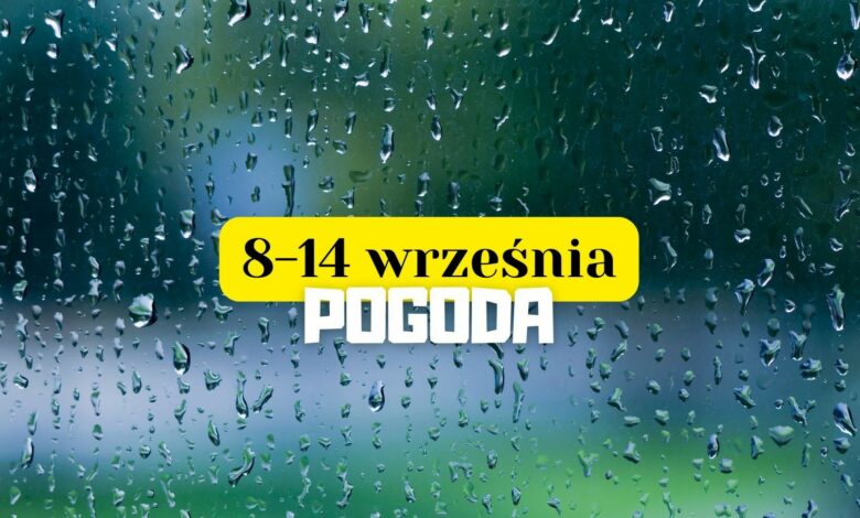 prognoza pogody