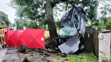 Rozbity samochód po wypadku wisi na płocie i drzewie
