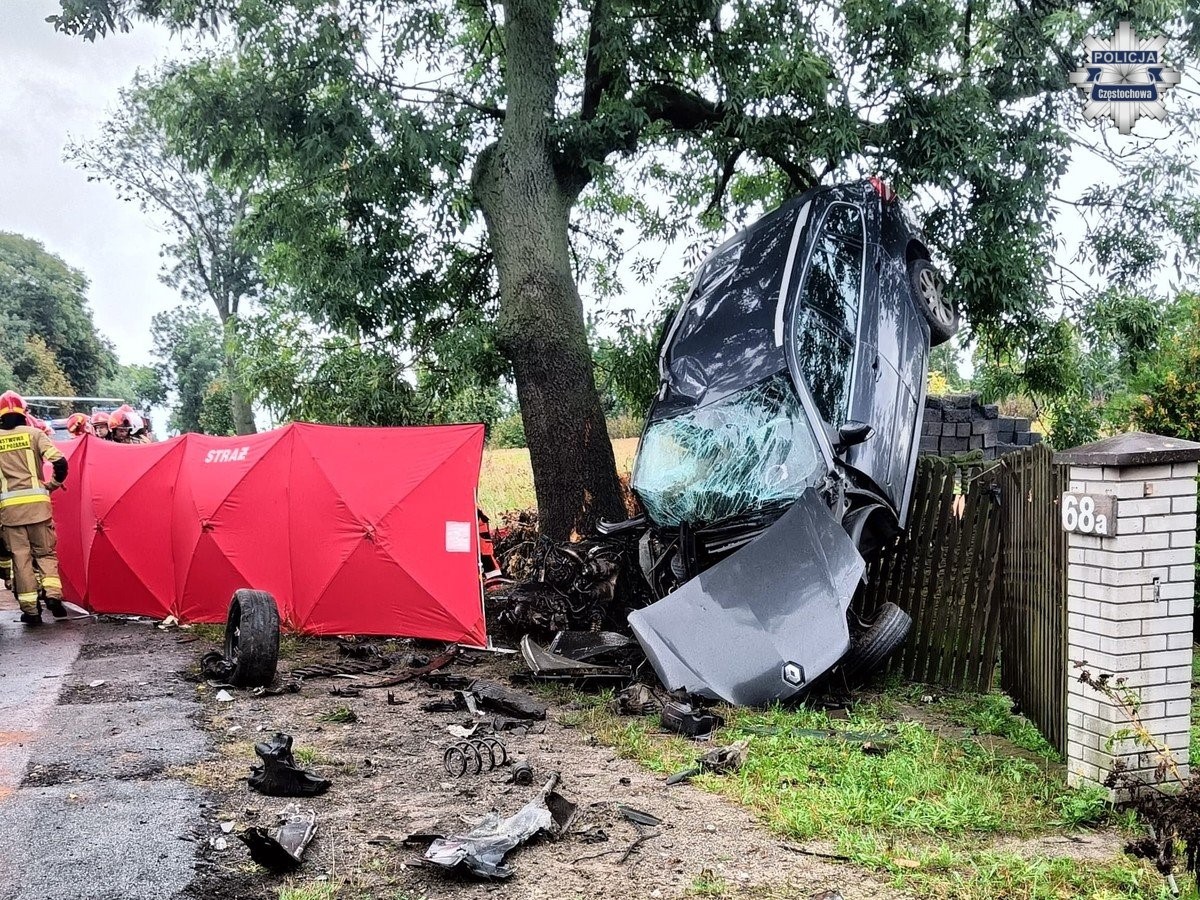 Tragedia w Ślęzanach! Renault wypadło z drogi – nie żyje mężczyzna, kobieta i 6-letnie dziecko w szpitalu