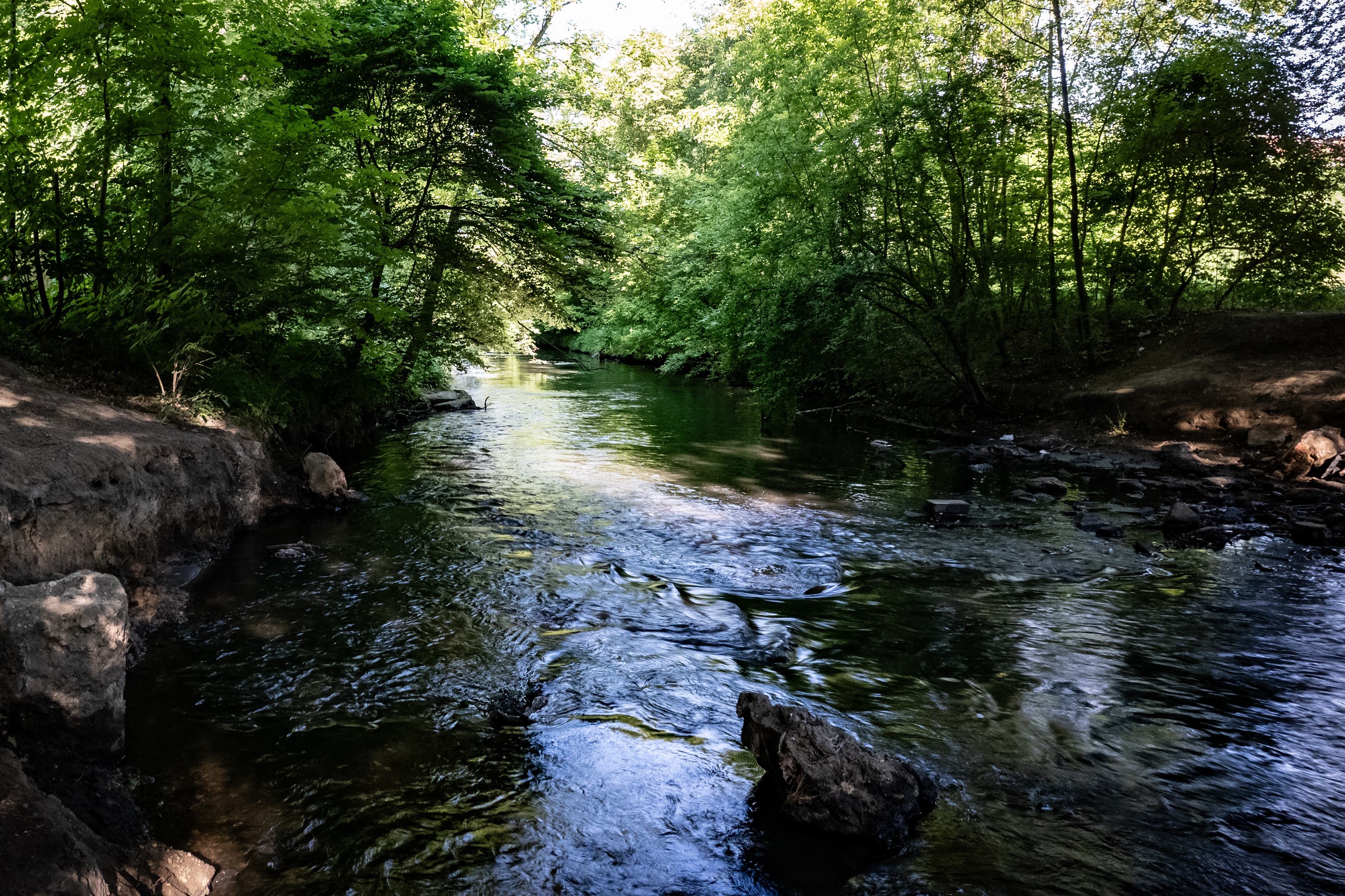 „Klimatyczna Bytomka” – mieszkańcy wezmą sprawy rzeki w swoje ręce!