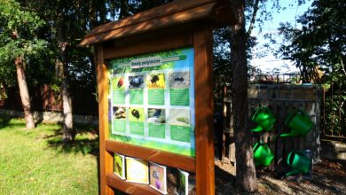 ekopracownia tablica informacyjna w ogrodzie